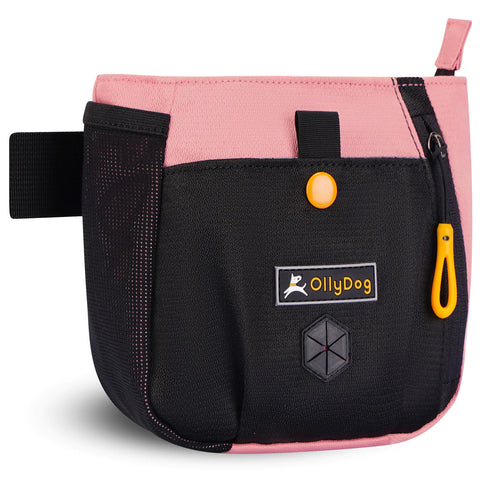 Olly Dog Backcountry Pink Day Bag for Dogs - Poudre Pet and Feed Supply